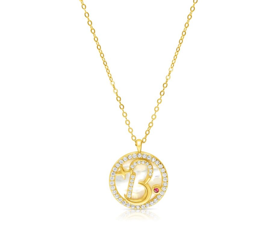 Gold Plated Sterling Silver Letter Pendant Circle Necklace – Micro Pave Zircons