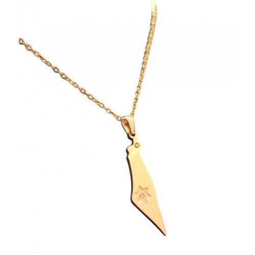 Gold Stainless Steel Pendant Necklace, Outline of Israel with Star of David