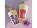 H&B Sensual Body Lotion with Dead Sea Minerals - Choice of Aromas
