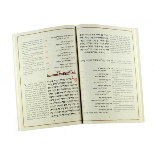Haggadah with French Translation - Softcover