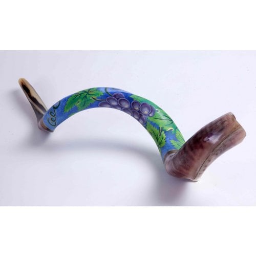 Hand Painted Yemenite Shofar - Grape Cluster