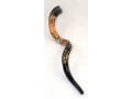 Hand Painted Yemenite Shofar - Lion of Judah with Crown