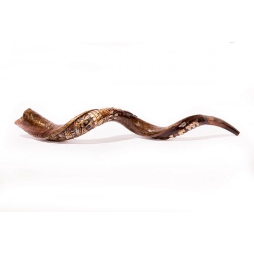 Hand Sculpted Yemenite Shofar - Jerusalem