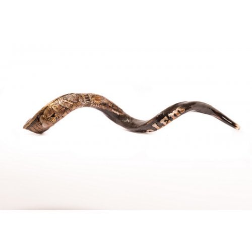 Hand Sculpted Yemenite Shofar - Jerusalem