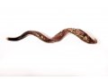 Hand Sculpted Yemenite Shofar - Seven Species