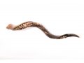 Hand Sculpted Yemenite Shofar - Seven Species