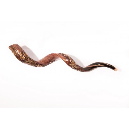 Hand Sculpted Yemenite Shofar - Seven Species