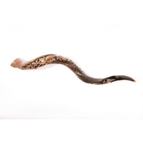 Hand Sculpted Yemenite Shofar - Seven Species