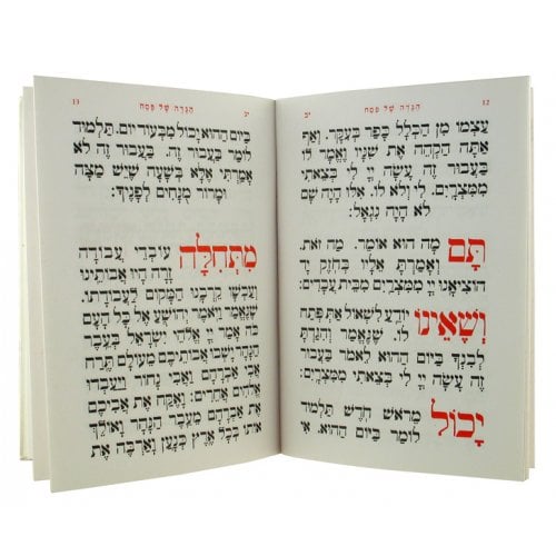 Hebrew Illustrated Haggadah