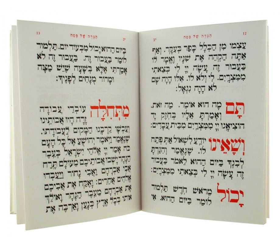 Illustrated Pesach Haggadah