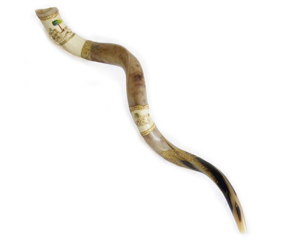 Jumbo Yemenite Hand Painted Shofar - Jerusalem with Olive Tree