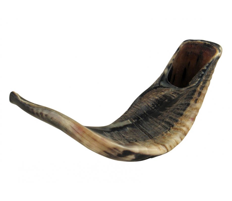 Large Black Rams Horn Shofar - Natural