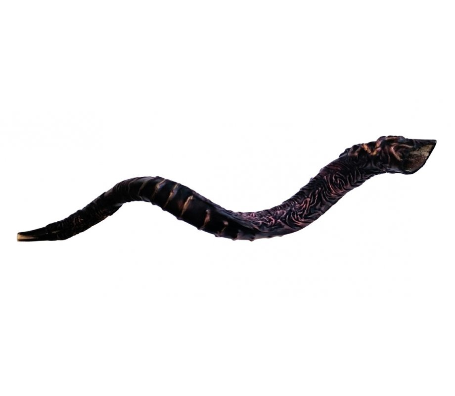 Majestic Leather-bound Jumbo Yemenite Shofar - Star of David Design