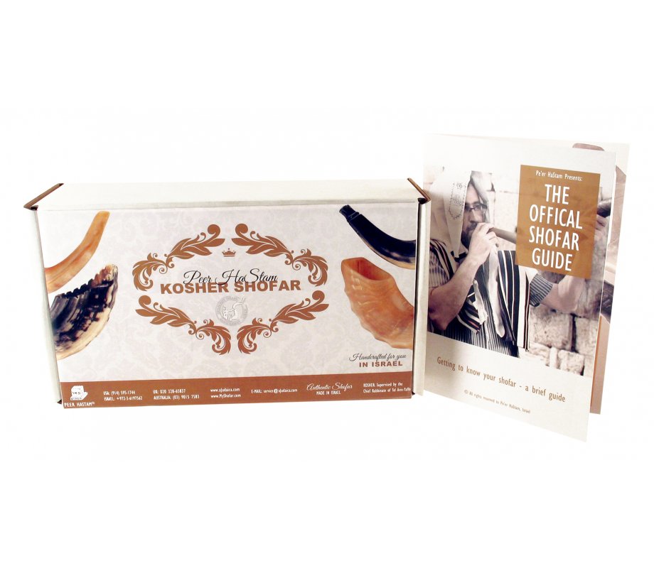 Natural Ram's Horn Shofar with Bag and Cleaning Spray Gift Set