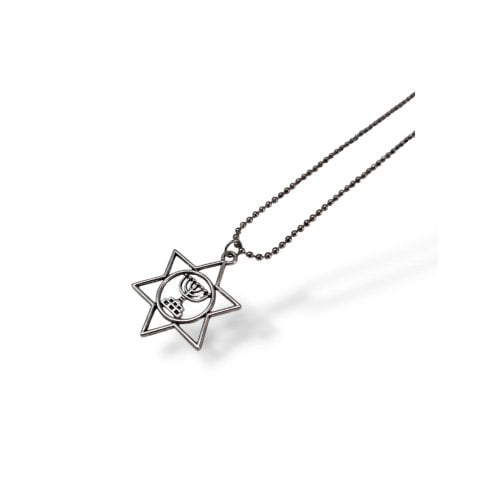 Pendant Necklace, Star of David enclosing a Menorah Image  Stainless Steel