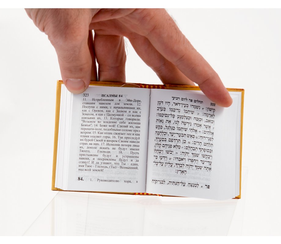 Pocket Size Book Of Psalms With Russian Translation AJudaica