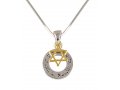 Rhodium Necklace Double Pendants - Silver Shema Israel and Gold Star of David