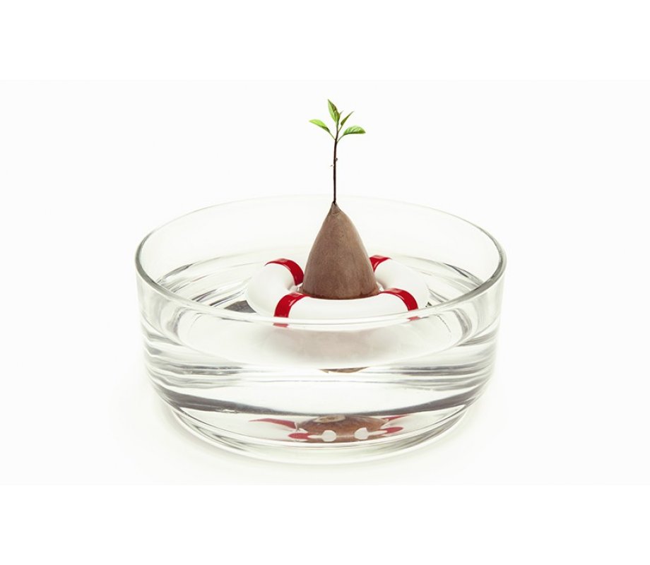 Seed Growing Lifebuoy