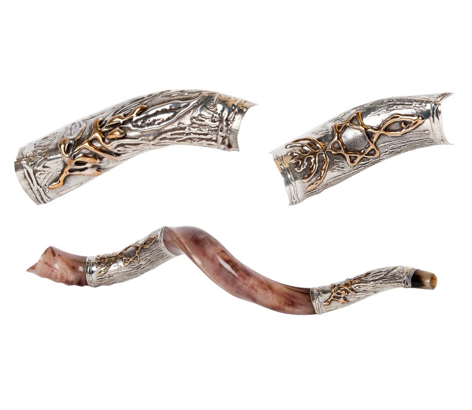 Seven Branch Menorah Star of David Sterling Silver Yemenite Shofar