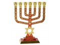 Seven Branch Menorah with Jerusalem & Judaic Images & Star of David, Red - 9.5