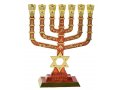 Seven Branch Menorah with Jerusalem & Judaic Images & Star of David, Red - 9.5