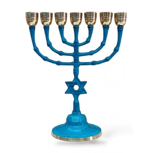 Seven Branch Patina Menorah with Star of David on Stem, Large Cups  10
