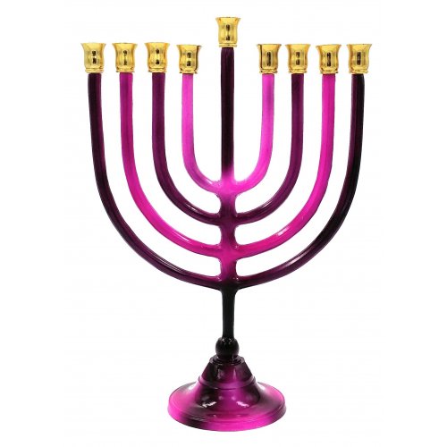 Shades of Pink Chanukah Menorah with Stem, Aluminum - For Candles