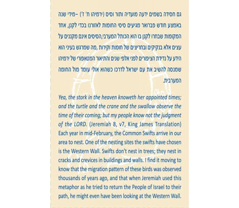 Shraga Landesman Jeremiah Blessing Birds in Flight Necklace - Nickel Silver