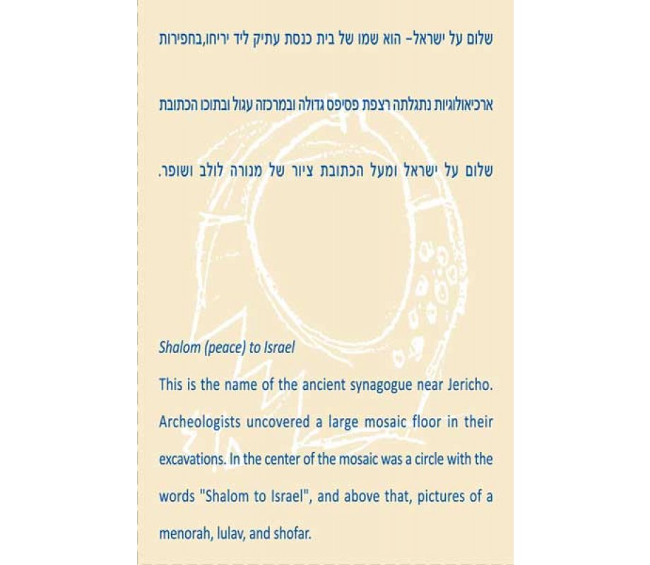 Shraga Landesman Shalom and Menorah Pomegranate Necklace - Nickel Silver