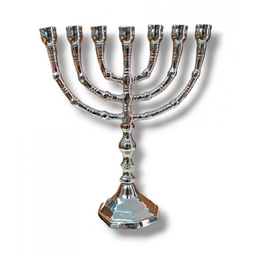 Small Nickel Seven Branch Menorah - 8 Inches