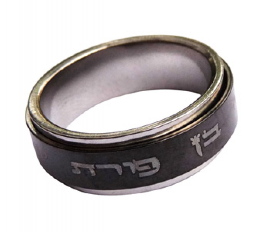 Stainless Steel Black Revolving