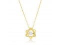 Stainless Steel Pendant Necklace, Yellow-Gold Plate - Star of David with Zircons