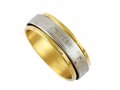 Stainless Steel Two Tone Shema Revolving Ring