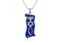 Sterling Silver Pendant Necklace, Blue Enamel - Menorah Star and Fish Symbol