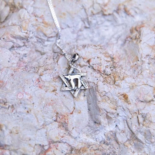 Sterling Silver Pendant Necklace, Engraved Star of David Enclosing Chai Letters