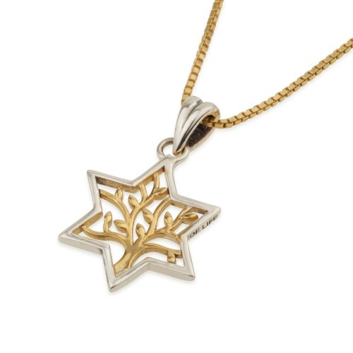 Sterling Silver Pendant Necklace, Star of David Encloses Gold Plated Tree of Life