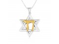 Sterling Silver Pendant Necklace, Star of David Pendant and 14K Gold Plated Chai