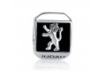 Sterling Silver Square Lion of Judah Charm