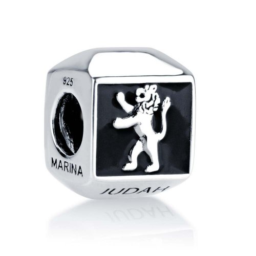 Sterling Silver Square Lion of Judah Charm