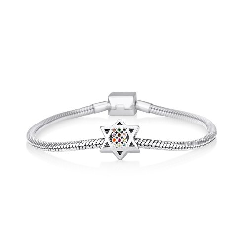 Sterling Silver Star of David Double Sided Breastplate Charm
