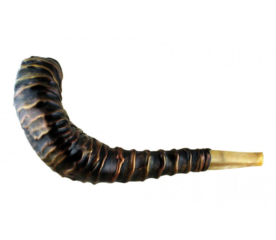 Stunning Leather-bound Ram's Horn Shofar