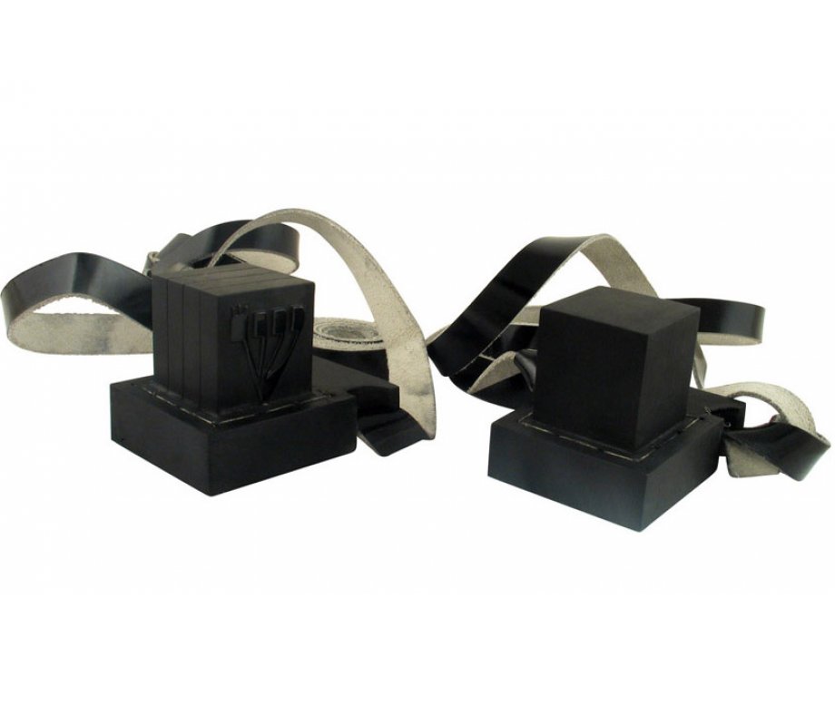 Tefillin Dakkot